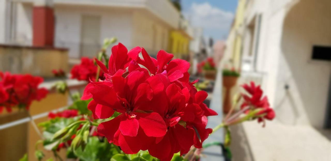 קונברסאנו Cupersanum B&B מראה חיצוני תמונה