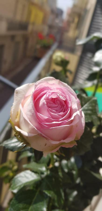 קונברסאנו Cupersanum B&B מראה חיצוני תמונה